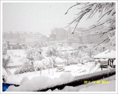 À̹ÌÁö½æ³×ÀÏ 58x58