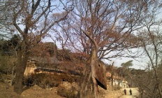 À̹ÌÁö½æ³×ÀÏ 58x58