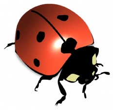 À̹ÌÁö½æ³×ÀÏ 58x58