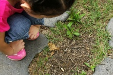 À̹ÌÁö½æ³×ÀÏ 58x58