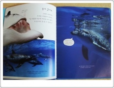 À̹ÌÁö½æ³×ÀÏ 58x58