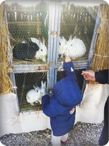 À̹ÌÁö½æ³×ÀÏ 58x58