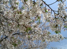 À̹ÌÁö½æ³×ÀÏ 58x58