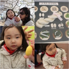 À̹ÌÁö½æ³×ÀÏ 58x58