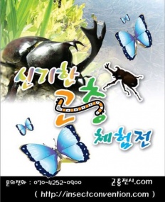 À̹ÌÁö½æ³×ÀÏ 58x58