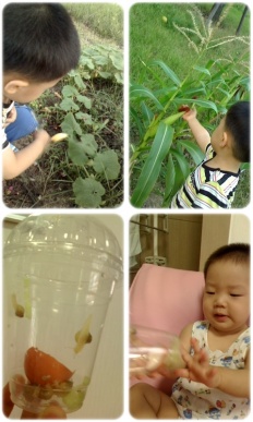 À̹ÌÁö½æ³×ÀÏ 58x58