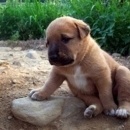 À̹ÌÁö½æ³×ÀÏ 58x58