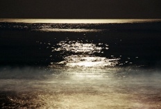 À̹ÌÁö½æ³×ÀÏ 58x58