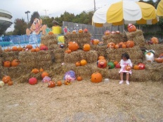 À̹ÌÁö½æ³×ÀÏ 58x58