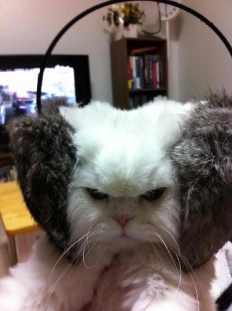 À̹ÌÁö½æ³×ÀÏ 58x58