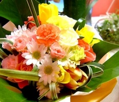 À̹ÌÁö½æ³×ÀÏ 58x58