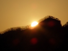 À̹ÌÁö½æ³×ÀÏ 58x58