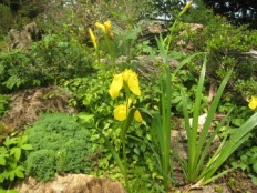 À̹ÌÁö½æ³×ÀÏ 58x58