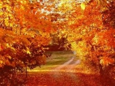 À̹ÌÁö½æ³×ÀÏ 58x58