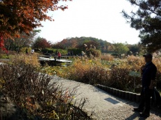 À̹ÌÁö½æ³×ÀÏ 58x58