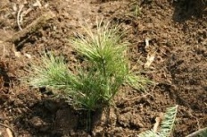 À̹ÌÁö½æ³×ÀÏ 58x58