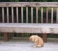 À̹ÌÁö½æ³×ÀÏ 58x58