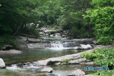 À̹ÌÁö½æ³×ÀÏ 58x58