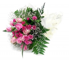 À̹ÌÁö½æ³×ÀÏ 58x58