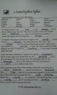 À̹ÌÁö½æ³×ÀÏ 58x58