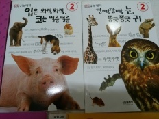 À̹ÌÁö½æ³×ÀÏ 58x58