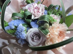 À̹ÌÁö½æ³×ÀÏ 58x58