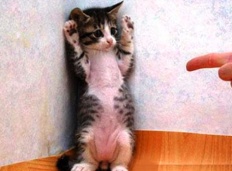 À̹ÌÁö½æ³×ÀÏ 58x58