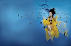 À̹ÌÁö½æ³×ÀÏ 58x58