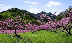 À̹ÌÁö½æ³×ÀÏ 58x58