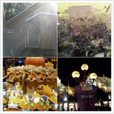 À̹ÌÁö½æ³×ÀÏ 58x58