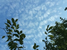 À̹ÌÁö½æ³×ÀÏ 58x58