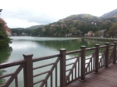 À̹ÌÁö½æ³×ÀÏ 58x58