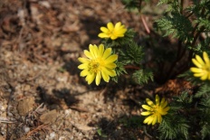 À̹ÌÁö½æ³×ÀÏ 58x58