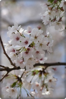 À̹ÌÁö½æ³×ÀÏ 58x58