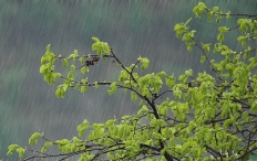 À̹ÌÁö½æ³×ÀÏ 58x58