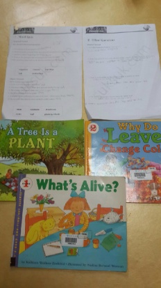 À̹ÌÁö½æ³×ÀÏ 58x58