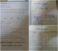 À̹ÌÁö½æ³×ÀÏ 58x58