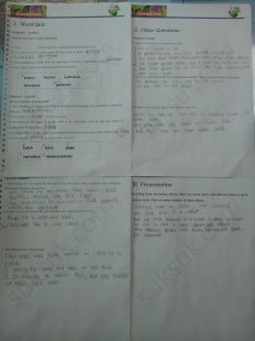 À̹ÌÁö½æ³×ÀÏ 58x58