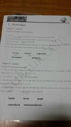 À̹ÌÁö½æ³×ÀÏ 58x58