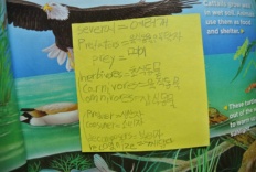 À̹ÌÁö½æ³×ÀÏ 58x58