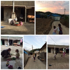 À̹ÌÁö½æ³×ÀÏ 58x58