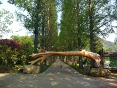 À̹ÌÁö½æ³×ÀÏ 58x58