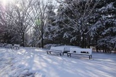 À̹ÌÁö½æ³×ÀÏ 58x58