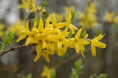 À̹ÌÁö½æ³×ÀÏ 58x58