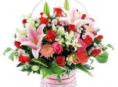 À̹ÌÁö½æ³×ÀÏ 58x58