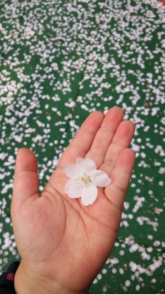 À̹ÌÁö½æ³×ÀÏ 58x58