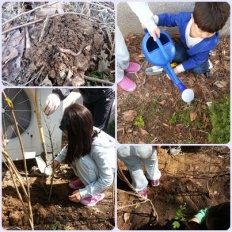 À̹ÌÁö½æ³×ÀÏ 58x58