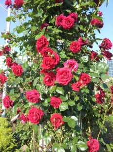 À̹ÌÁö½æ³×ÀÏ 58x58