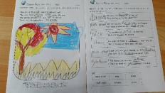 À̹ÌÁö½æ³×ÀÏ 58x58