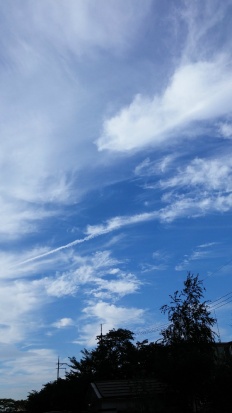 À̹ÌÁö½æ³×ÀÏ 58x58